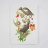 Christmas Greeting Card - Magpies