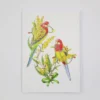 Christmas Greeting Card - Rosella