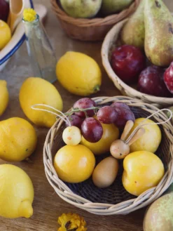 Grapat Easter / Grapat X Ostheimer Collab - Hop And Peep -Toy Sale Store ART25 278HopandPeep2JoguinesGrapat