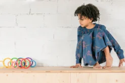 Grapat Nesting Rings -Toy Sale Store Art 20 216 IMG 054 Joguines GrapatDragonflytoys