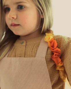 Silk Wings By Sarah Silks -Toy Sale Store DesertWingsSarahSilksbyDragonflytoys4