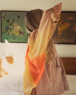 Silk Wings By Sarah Silks -Toy Sale Store DesertWingsSarahSilksbyDragonflytoys5