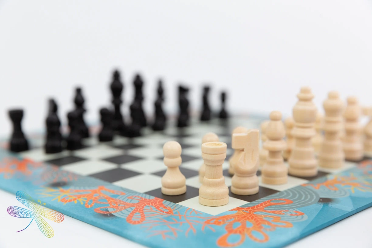 Chess Game By Djeco 1 Chess Game By Djeco