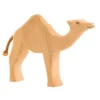 Dromedary Camel (20911) - Ostheimer
