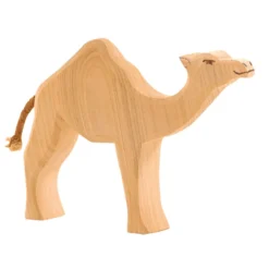 Dromedary Camel (20911) - Ostheimer