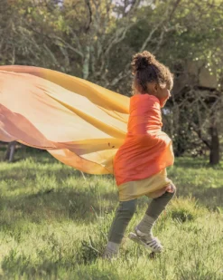 Giant Desert Silk Scapes - Sarah Silks (New In 2020) -Toy Sale Store GiantDesertSilkScapeDragonflytoys1