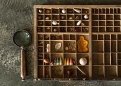 Grapat Baby Sticks (Brots) 17 Grapat Baby Sticks (Brots) -Toy Sale Store GrapatBabySticksDragonflyToys9