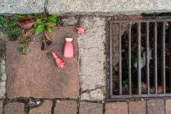 Grapat Fancy Nins - New In 2023 24 Grapat Fancy Nins - New In 2023 -Toy Sale Store GrapatFancyNinsDragonflyToys12