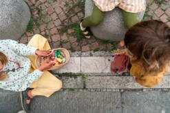 Grapat Fancy Nins - New In 2023 26 Grapat Fancy Nins - New In 2023 -Toy Sale Store GrapatFancyNinsDragonflyToys9