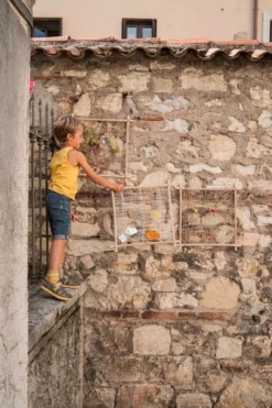 Grapat Frame - New In 2023 32 Grapat Frame - New In 2023 -Toy Sale Store GrapatFrameNewin2023DragonflyToys11