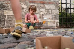 Grapat Frame - New In 2023 26 Grapat Frame - New In 2023 -Toy Sale Store GrapatFrameNewin2023DragonflyToys17