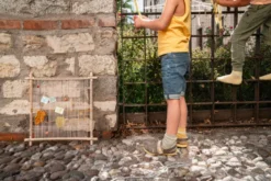 Grapat Frame - New In 2023 25 Grapat Frame - New In 2023 -Toy Sale Store GrapatFrameNewin2023DragonflyToys19