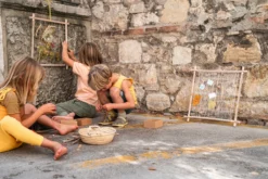 Grapat Frame - New In 2023 39 Grapat Frame - New In 2023 -Toy Sale Store GrapatFrameNewin2023DragonflyToys3