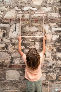 Grapat Frame - New In 2023 38 Grapat Frame - New In 2023 -Toy Sale Store GrapatFrameNewin2023DragonflyToys4