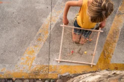 Grapat Frame - New In 2023 36 Grapat Frame - New In 2023 -Toy Sale Store GrapatFrameNewin2023DragonflyToys6