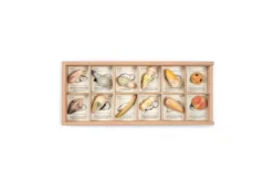 Grapat Wild Wild New In 2022