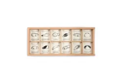 Grapat Wild Wild New In 2022 -Toy Sale Store GrapatWildWildNewin2022DragonflyToys1