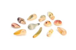 Grapat Wild Wild New In 2022 -Toy Sale Store GrapatWildWildNewin2022DragonflyToys3