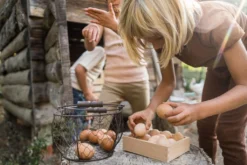 Grapat Wooden Storage Boxes New In 2022 -Toy Sale Store GrapatWoodenStorageBoxedNewin2022DragonflyToys2