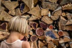 Grapat - Wow New In 2022 7 Grapat - Wow New In 2022 -Toy Sale Store GrapatWowNewin2022DragonflyTOys1