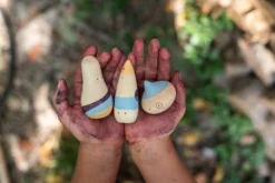 Grapat - Wow New In 2022 6 Grapat - Wow New In 2022 -Toy Sale Store GrapatWowNewin2022DragonflyTOys12