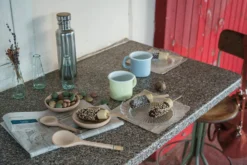 Grapat Yummy - New In 2023 -Toy Sale Store GrapatYummyNewin2023DragonflyToys16