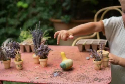 Grapat – Flowing Yellow Bird 27 Grapat – Flowing Yellow Bird -Toy Sale Store Grapat FlowingYellowBird13DragonflyToys