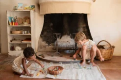 Grapat – Mis Match Bloom -Toy Sale Store Grapat MisMatchBloom14DragonflyToys