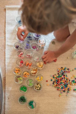 Grapat – Mis Match Bloom -Toy Sale Store Grapat MisMatchBloom18DragonflyToys