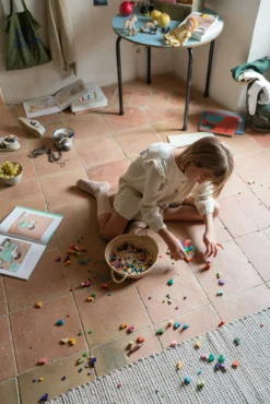 Grapat – Mis Match Bloom -Toy Sale Store Grapat MisMatchBloom3DragonflyToys