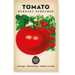 Heirloom Vegetable Seeds - Burnley Surecrop Tomato