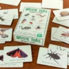Memory Game (20 Pairs) - Nature Trail