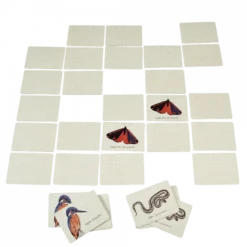 Memory Game (20 Pairs) - Nature Trail -Toy Sale Store Memorygame 20pairs NatureTrail DragonflyToys4