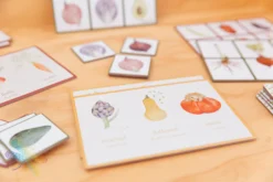 Vegetable Lotto And Memory Game By Moulin Roty -Toy Sale Store Moulin roty vegetable memory game 9