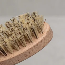 Mussel And Oyster Brush