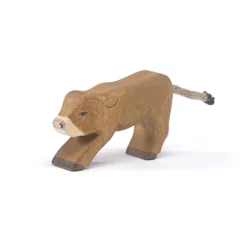 Ostheimer Alps Calf Drinking