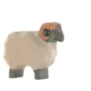 Moorland Ram (11751) - Ostheimer