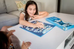 Snakes & Ladders Game By Djeco -Toy Sale Store Snakes LaddersGame DragonflyToys7