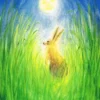 The Hare And The Moon Easter Postcard By Marjan Van Zeyls