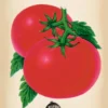 Heirloom Flower Seeds - Tomato Daydream