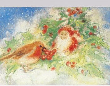 Winter Robin 1 Winter Robin