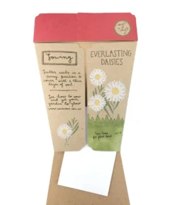 Christmas Greetings Gift Of Seeds ( Native Everlasting Daisy) 7 Christmas Greetings Gift Of Seeds ( Native Everlasting Daisy) -Toy Sale Store XmasDaisy contentsDragonflytoys
