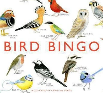 Bird Bingo Game 1 Bird Bingo Game