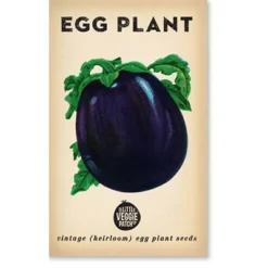 Heirloom Flower Seeds - Eggplant Florida Market