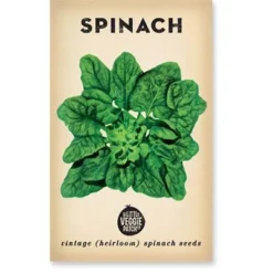 Heirloom Vegetable Seeds - Spinach